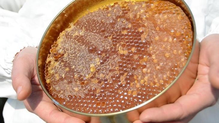 turk balinda 234 milyon dolarlik ihracat gerceklestirildi slUtJCXm.jpg