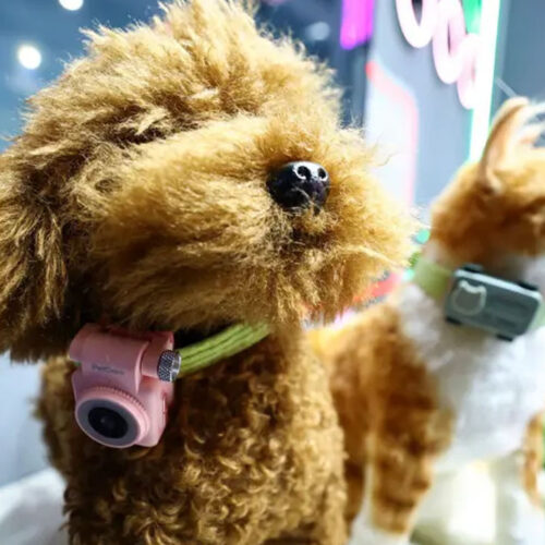 Evcil hayvanlar için akıllı telefon