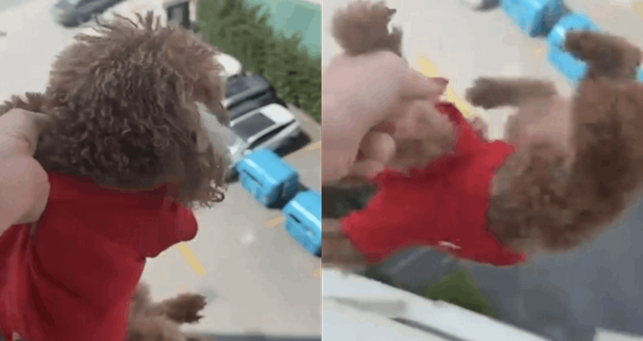 Köpeğine Şiddet Uygulayan Kadın, Alkollü Olduğunu İtiraf Etti